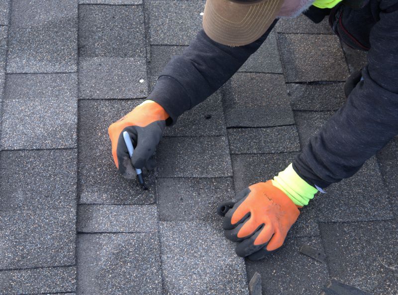 Shingle Repair in Action