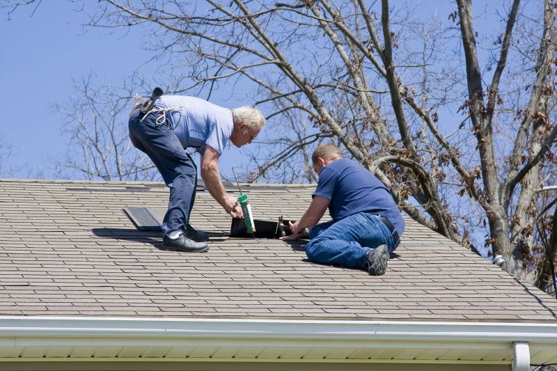 Roof Maintenance and Repair